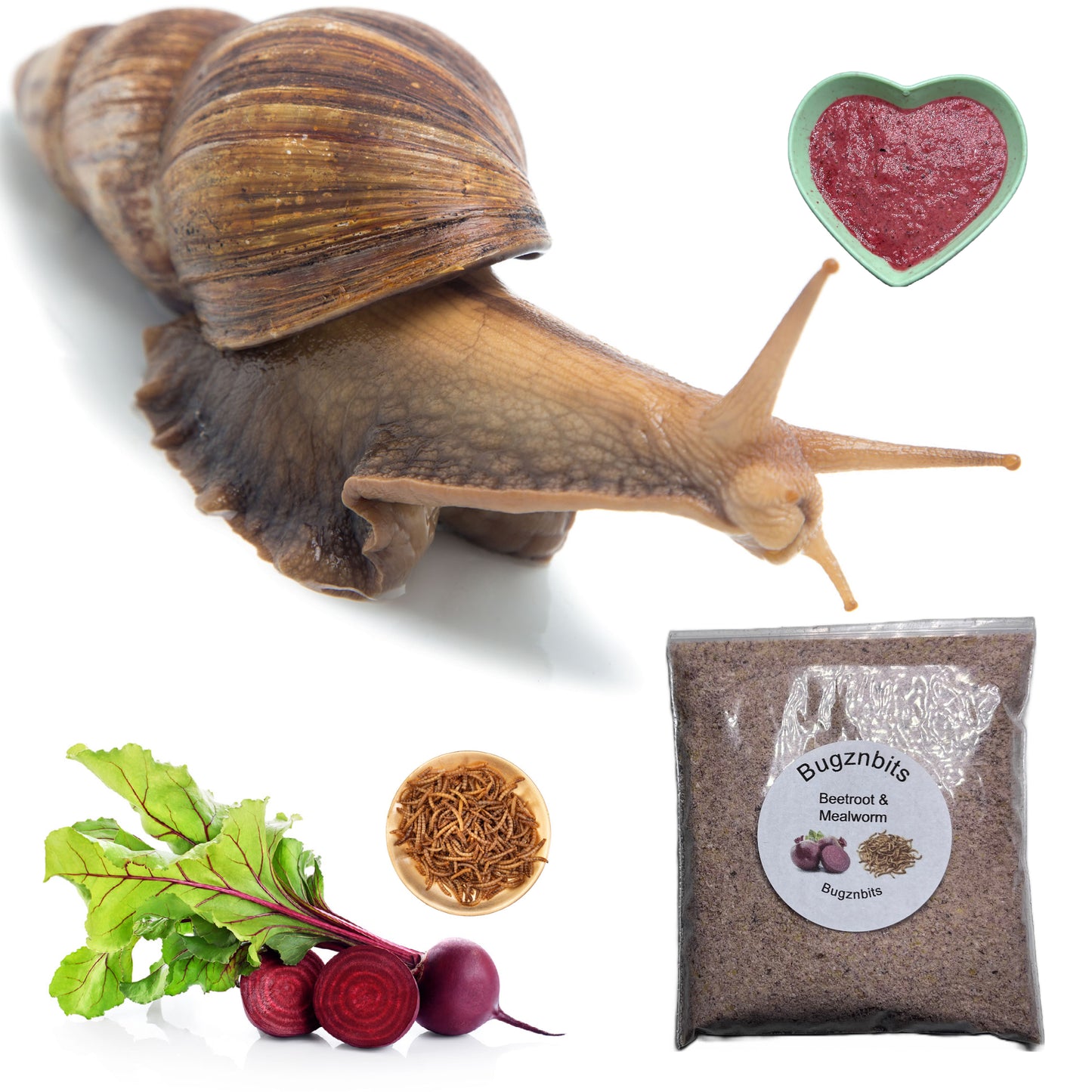 Triple Bowl Pack with Free Food Sample