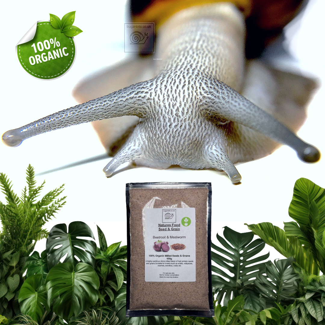 Natures Food Organic Snail Food TWIN 100g REFILL Pack  – Choose 100g packs