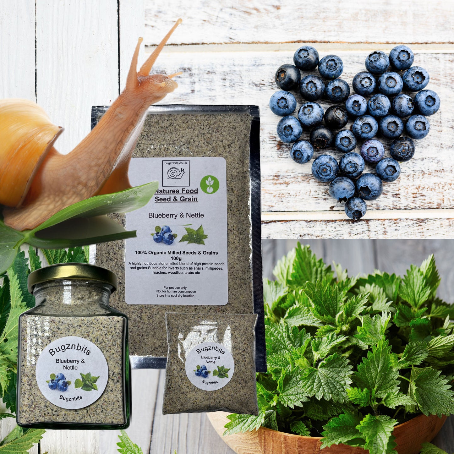 Premium Giant African Land Snail Food