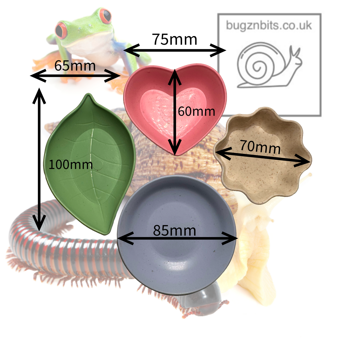 Standard Substrate, Land Snail Set-Up Pack 10 Item Pack