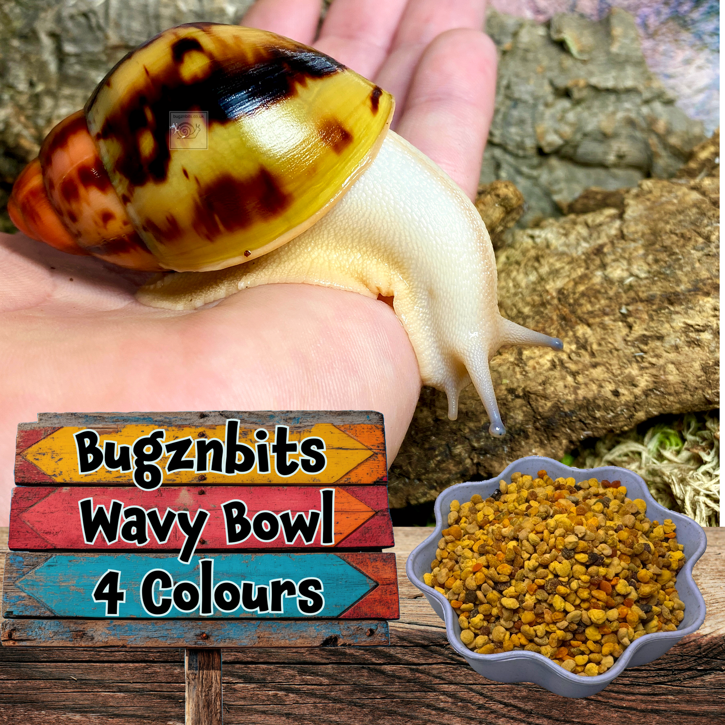 Bugznbits Colours, 4 pack, Feeding Bowls
