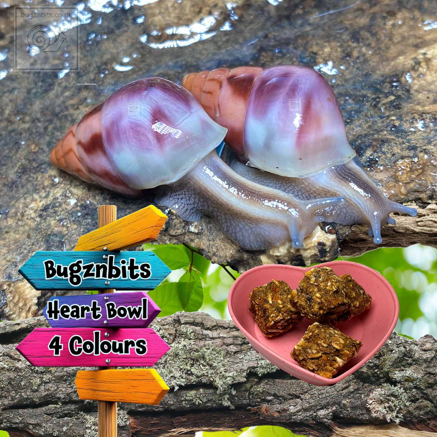 Bugznbits Colours, Small Pet Bowls