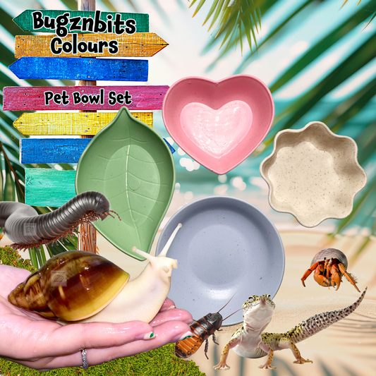 Bugznbits Colours, Small Pet Bowls