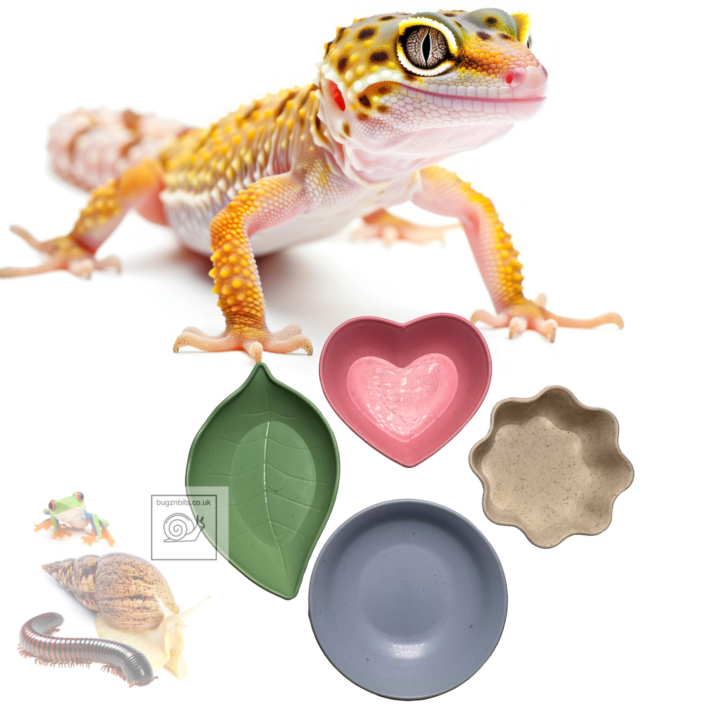 Bugznbits Colours, 4 pack, Feeding Bowls