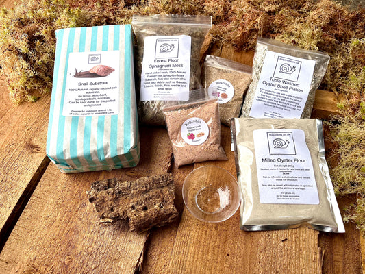 Giant African Land Snail Premium Bumper Supply/set up Pack