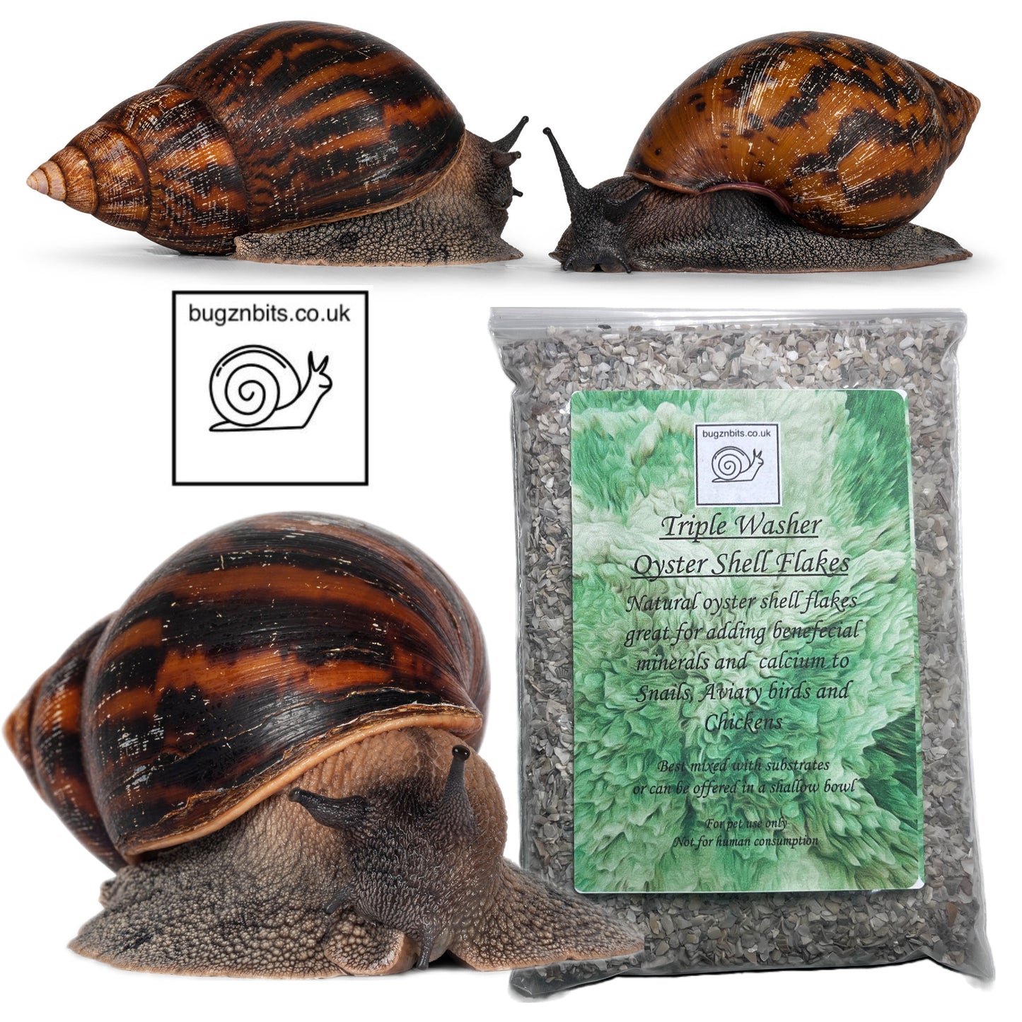 Triple washed Oyster shell flakes