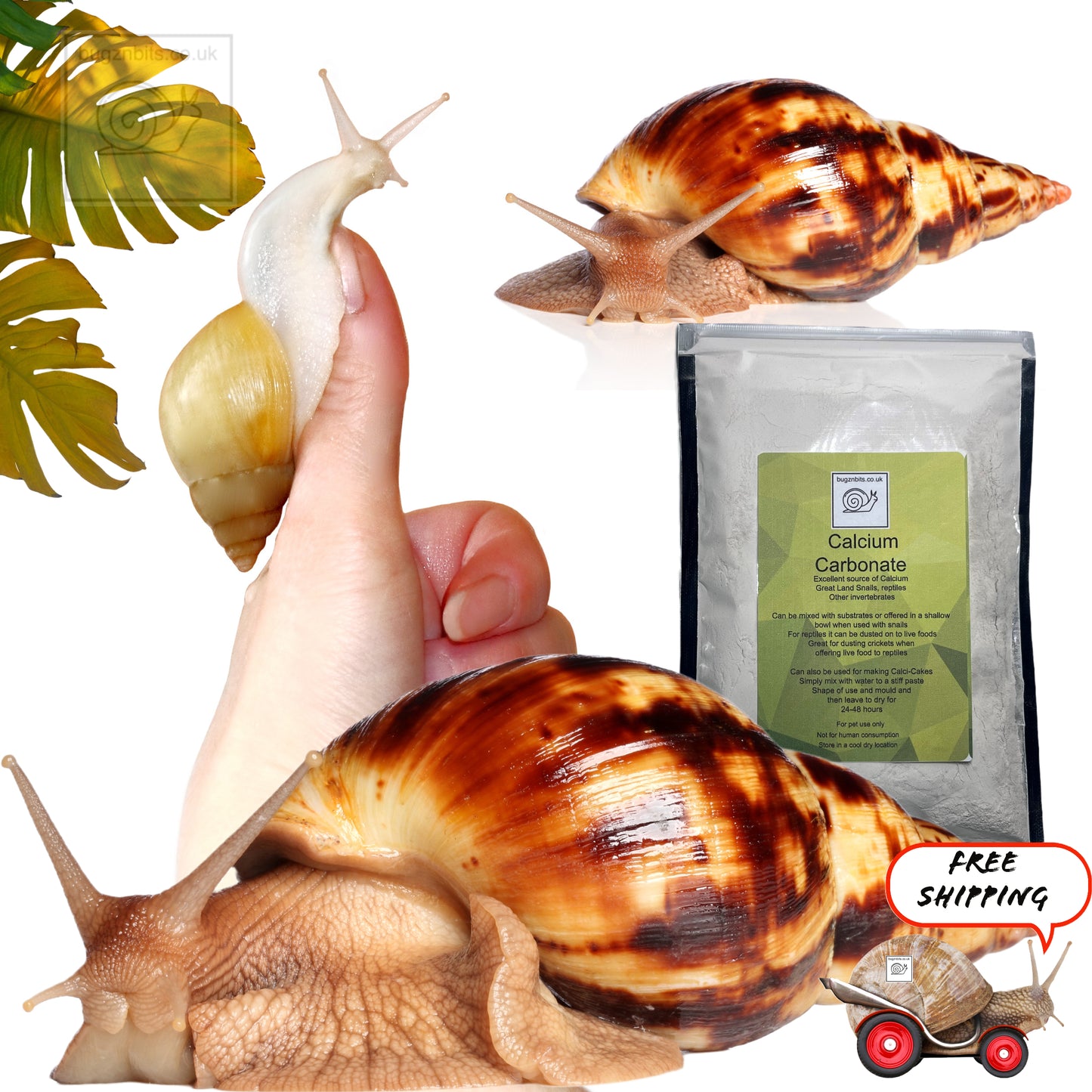 Calcium Carbonate, Calci powder