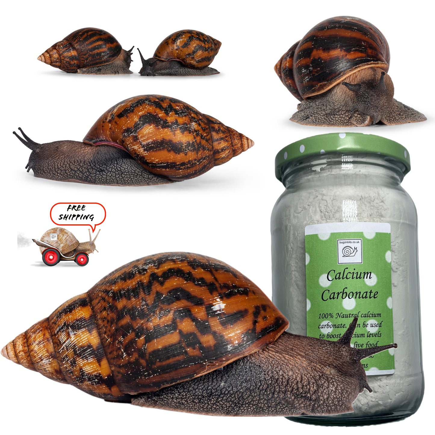 Calcium Carbonate, Calci powder