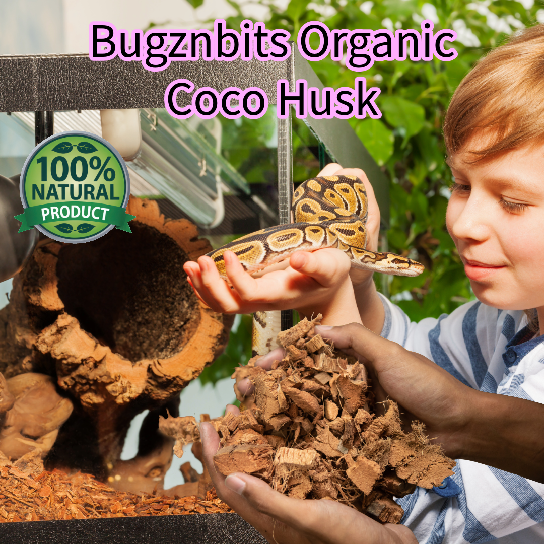 Ball Python Substrate, Organic Coco Husk Blocks