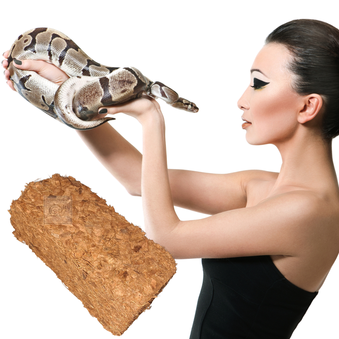 Ball Python Substrate, Organic Coco Husk Blocks