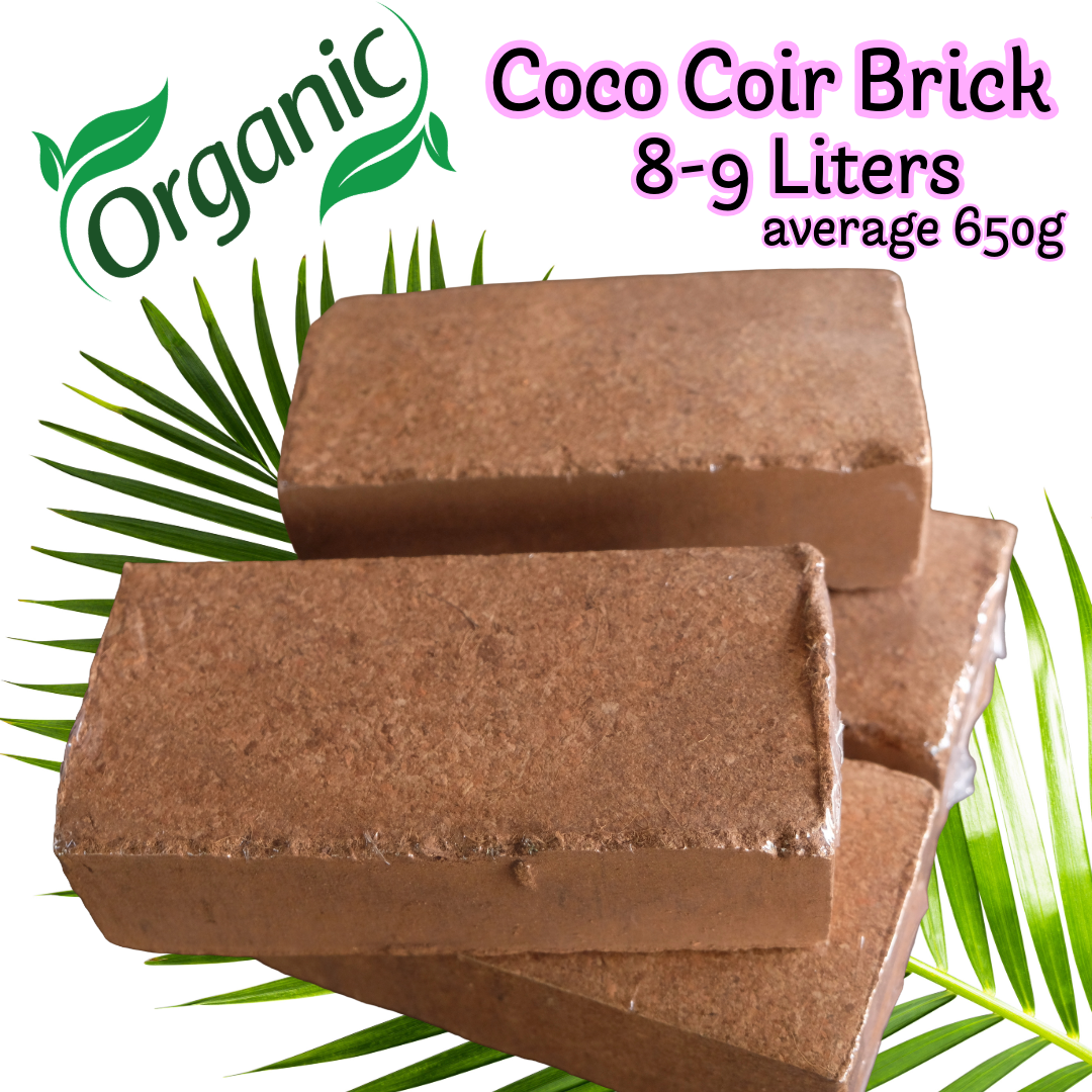 Coco Coir brick