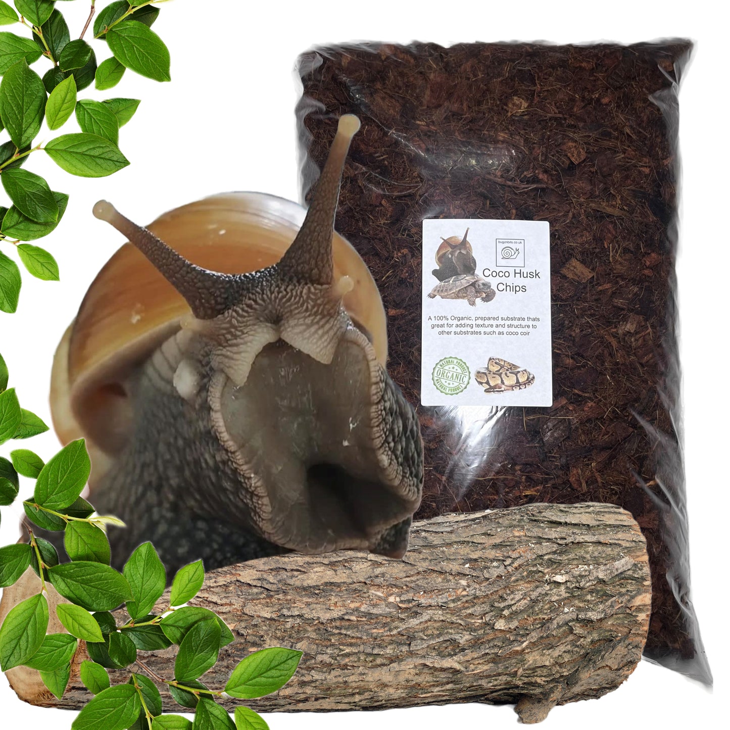 Coco Coir Husk & Chip, Prepared & Ready to Use, Snails, Snakes, Tortoises