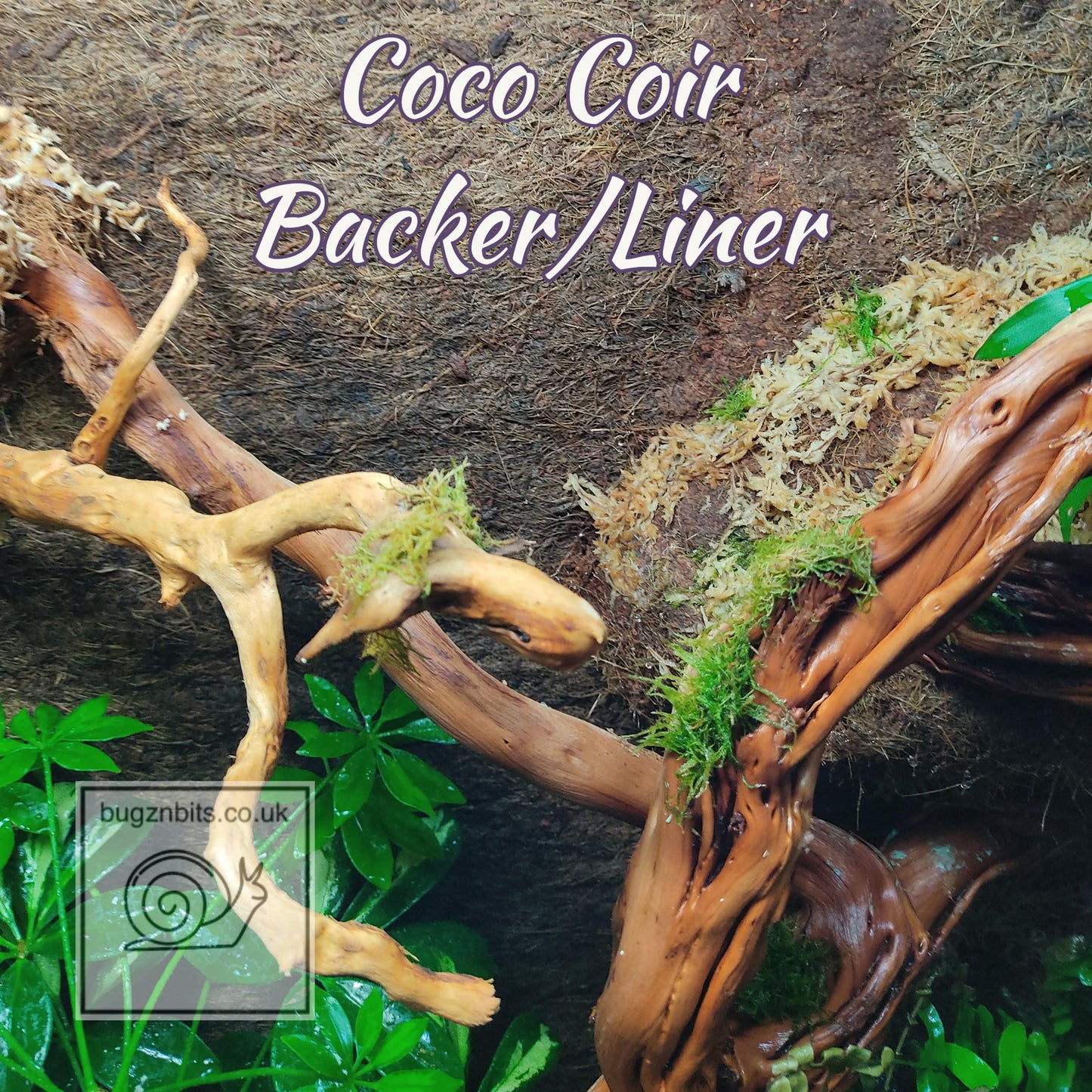 Coir Matting, Base Carpet Liner or Decor Backer, A Great Soil Alternative