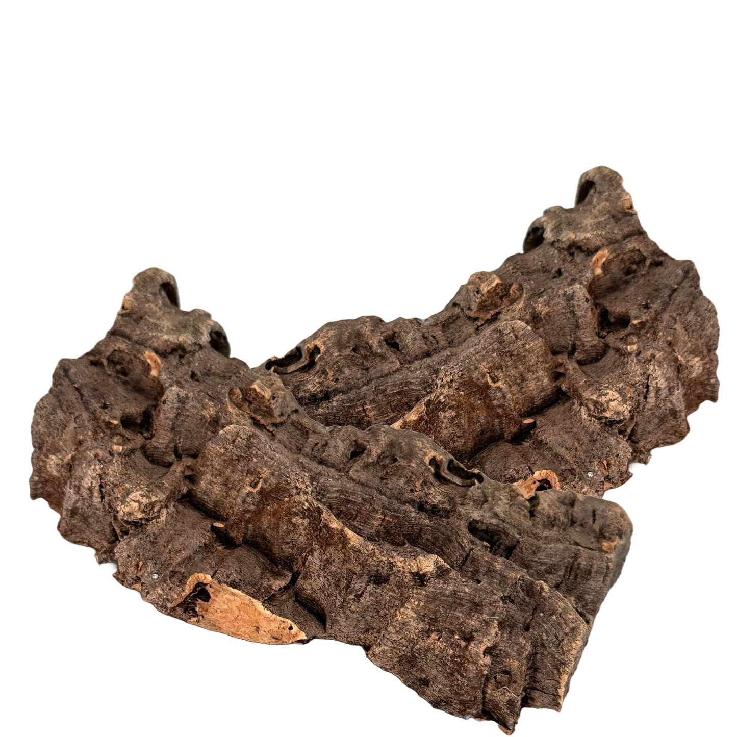 Cork Bark, Various Options