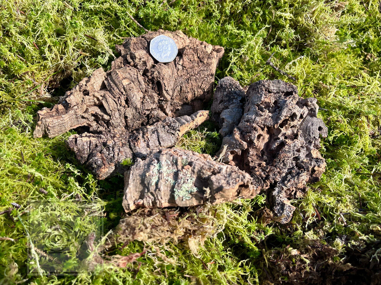 Cork Bark, Various Options