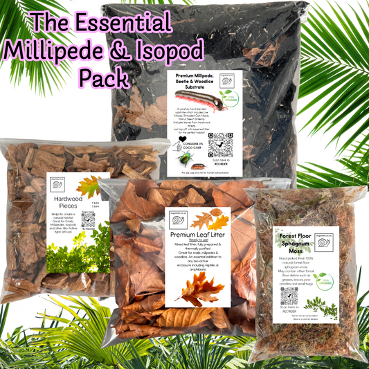 The Essential Millipede & Woodlice Set-Up Pack, 4 Item pack