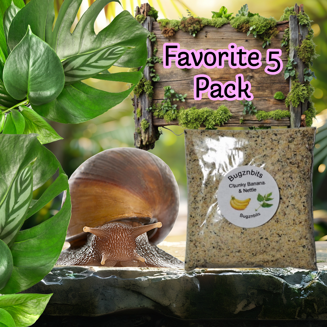 Fav Five Land Snail food Pack 5 x 30g