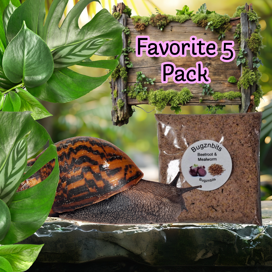 Fav Five Land Snail food Pack 5 x 30g