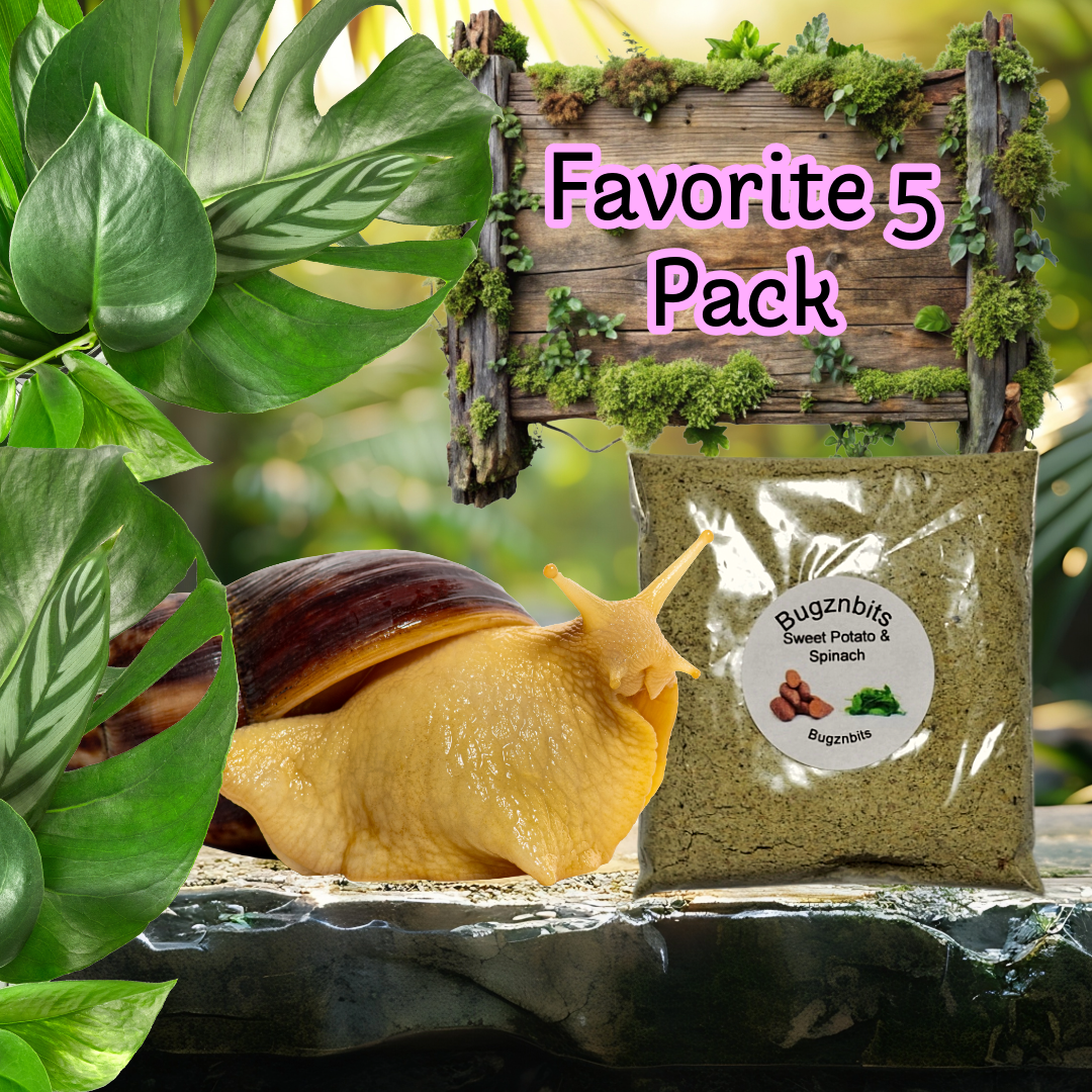 Fav Five Land Snail food Pack 5 x 30g