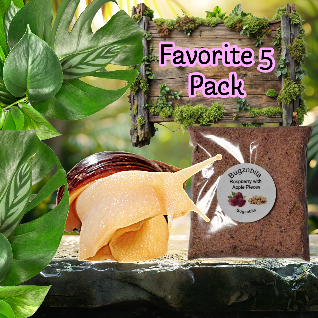 Fav Five Land Snail food Pack 5 x 30g