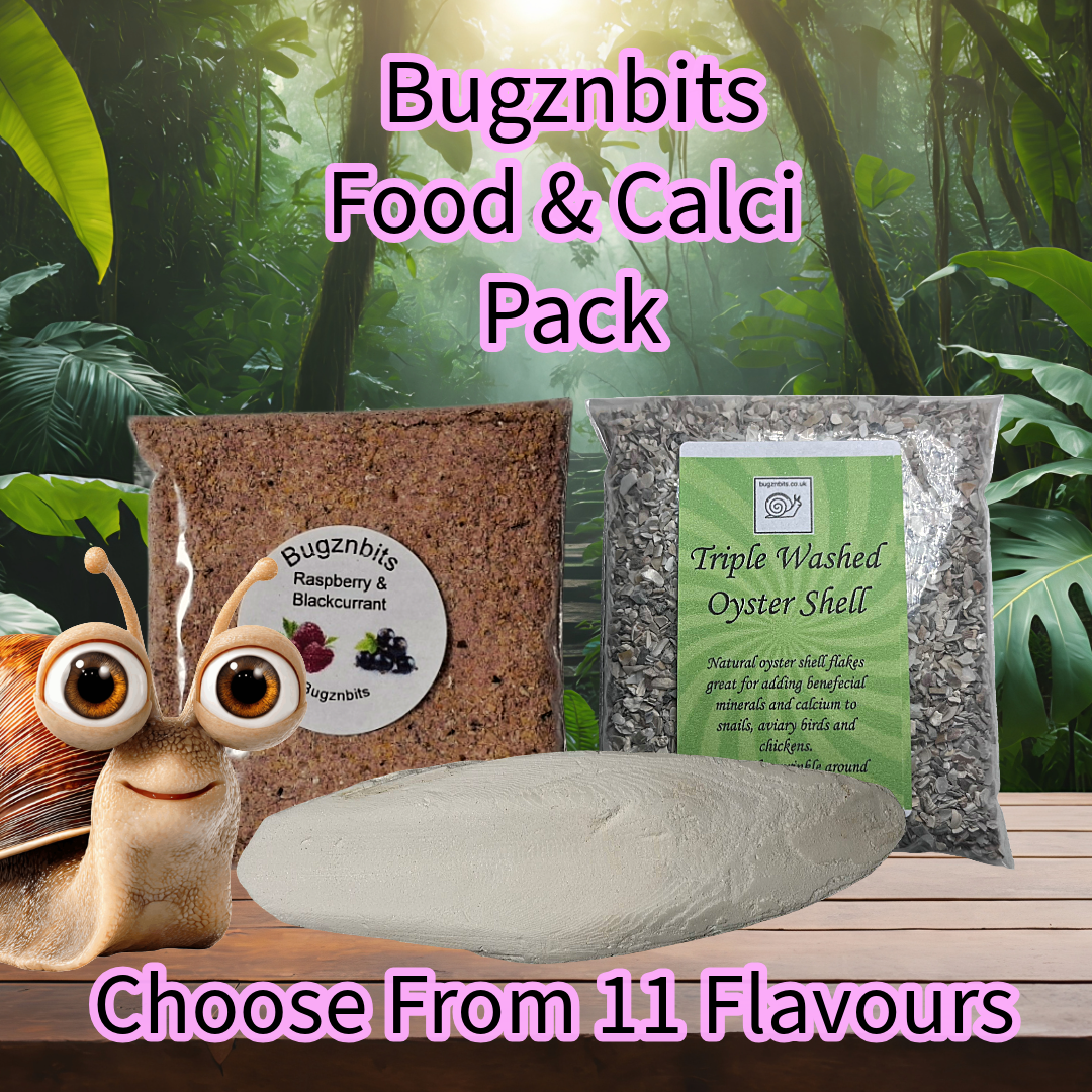 Land Snail Food & Calcium Handy Pack