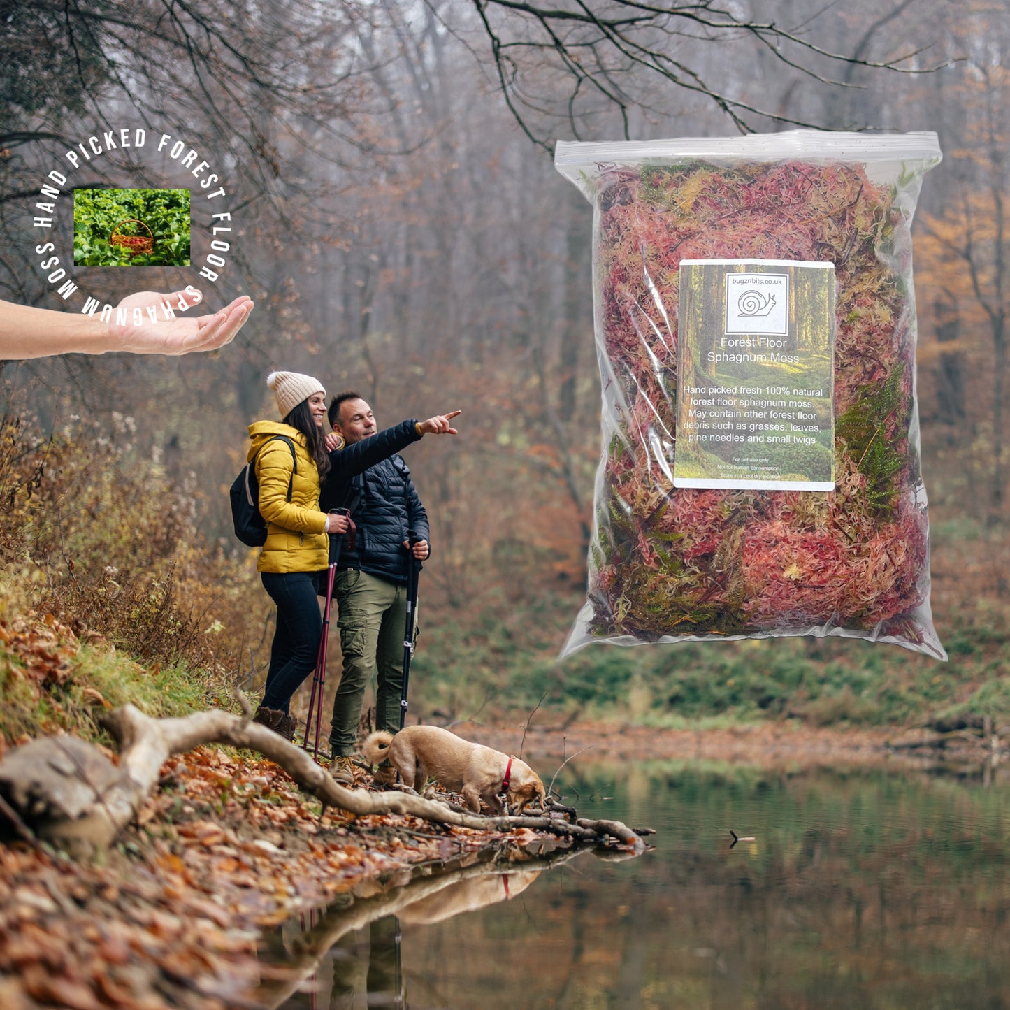 Sphagnum Moss, 100% Natural and Freshly Hand Picked