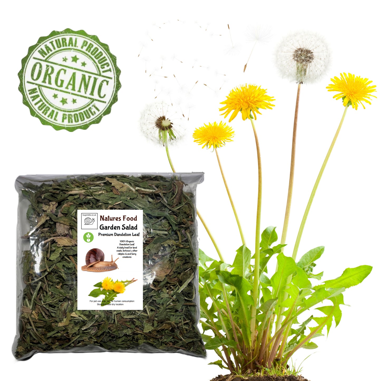 Garden Salad, Dandelion Leaf