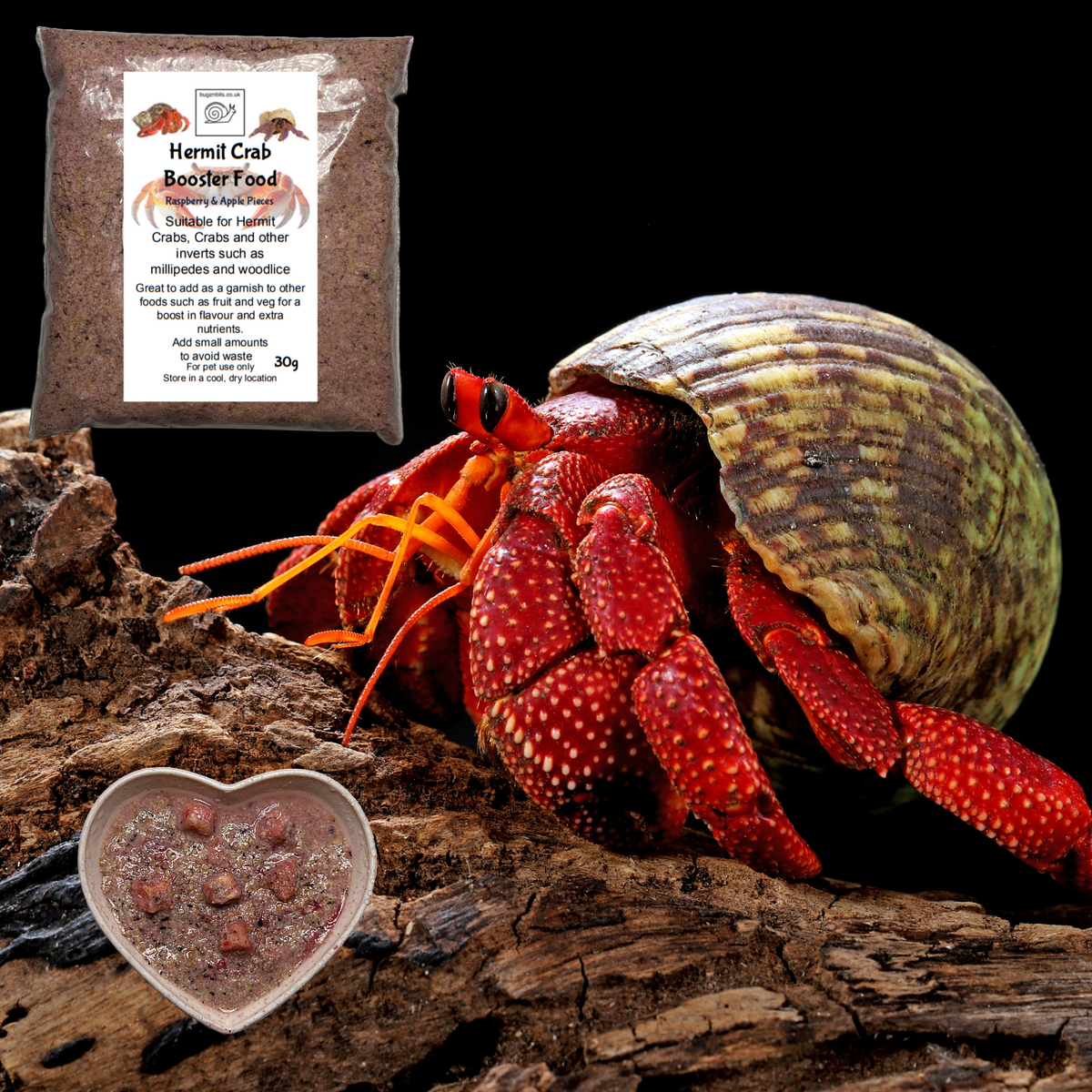 Hermit Crab food