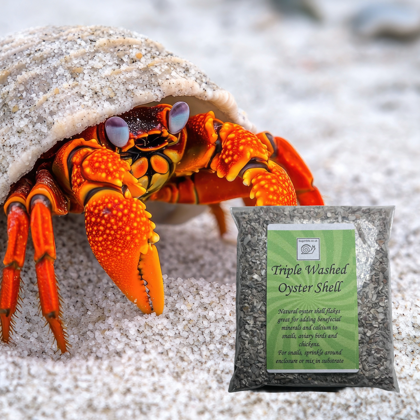 Triple washed Oyster shell flakes