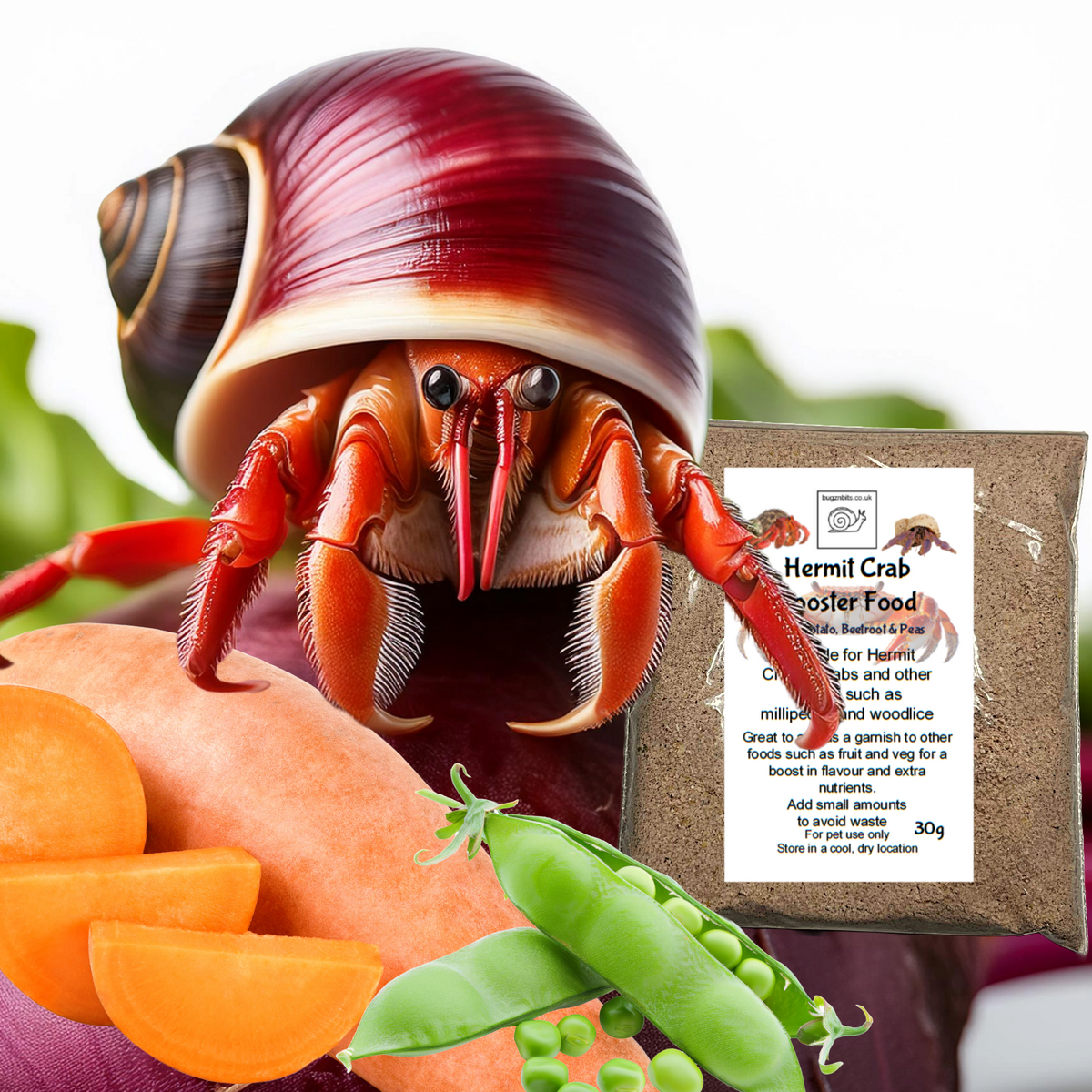Hermit Crab food