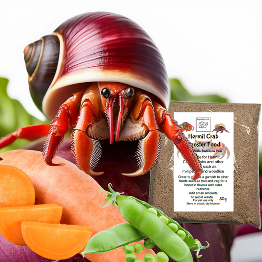 Hermit Crab food