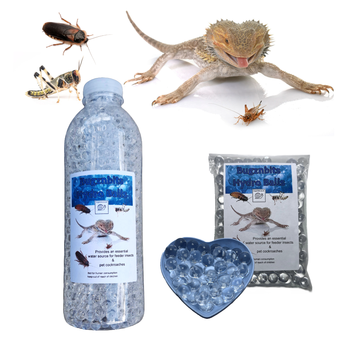 Hydro Balls For Feeder Insects & Roach Keeping