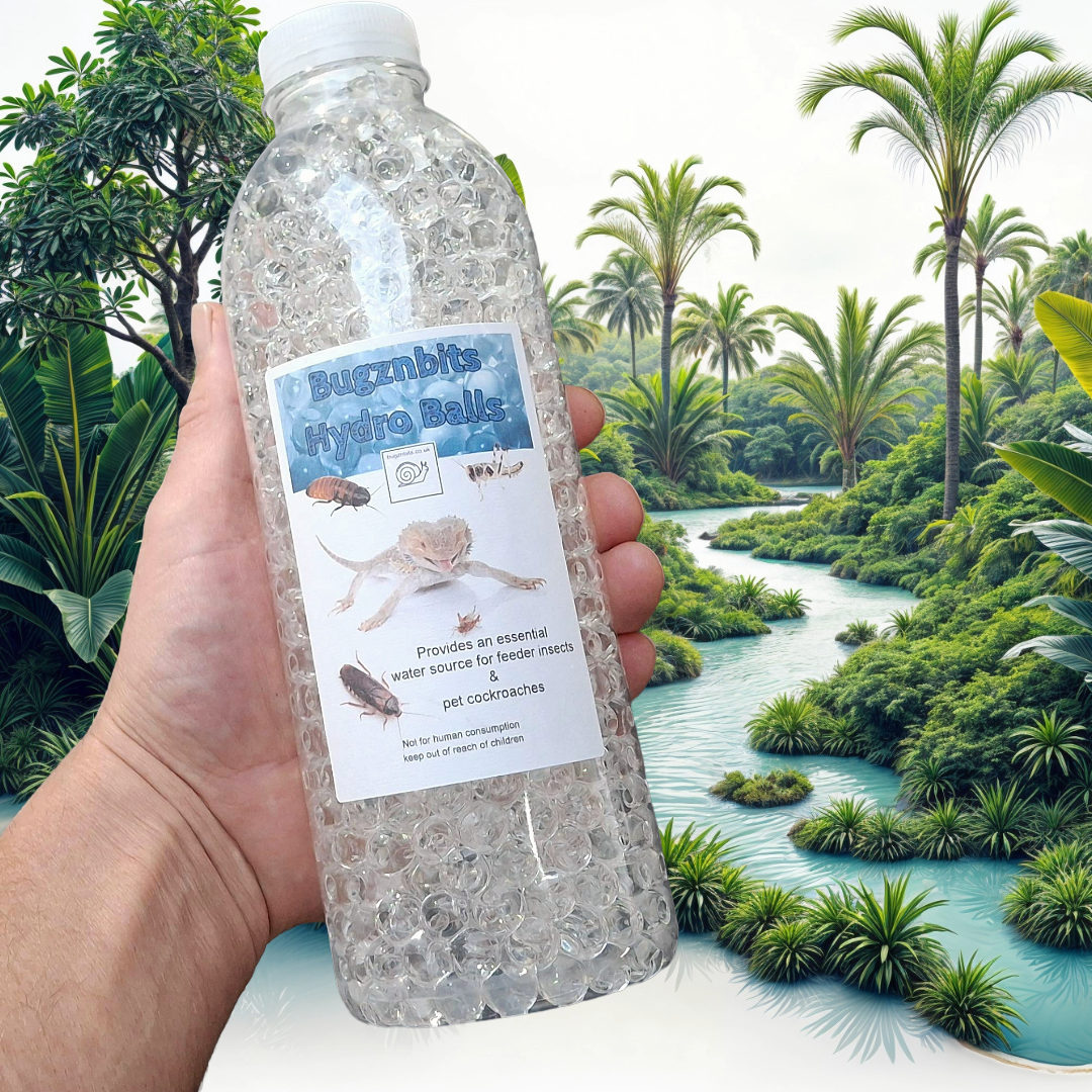 Hydro Balls For Feeder Insects & Roach Keeping