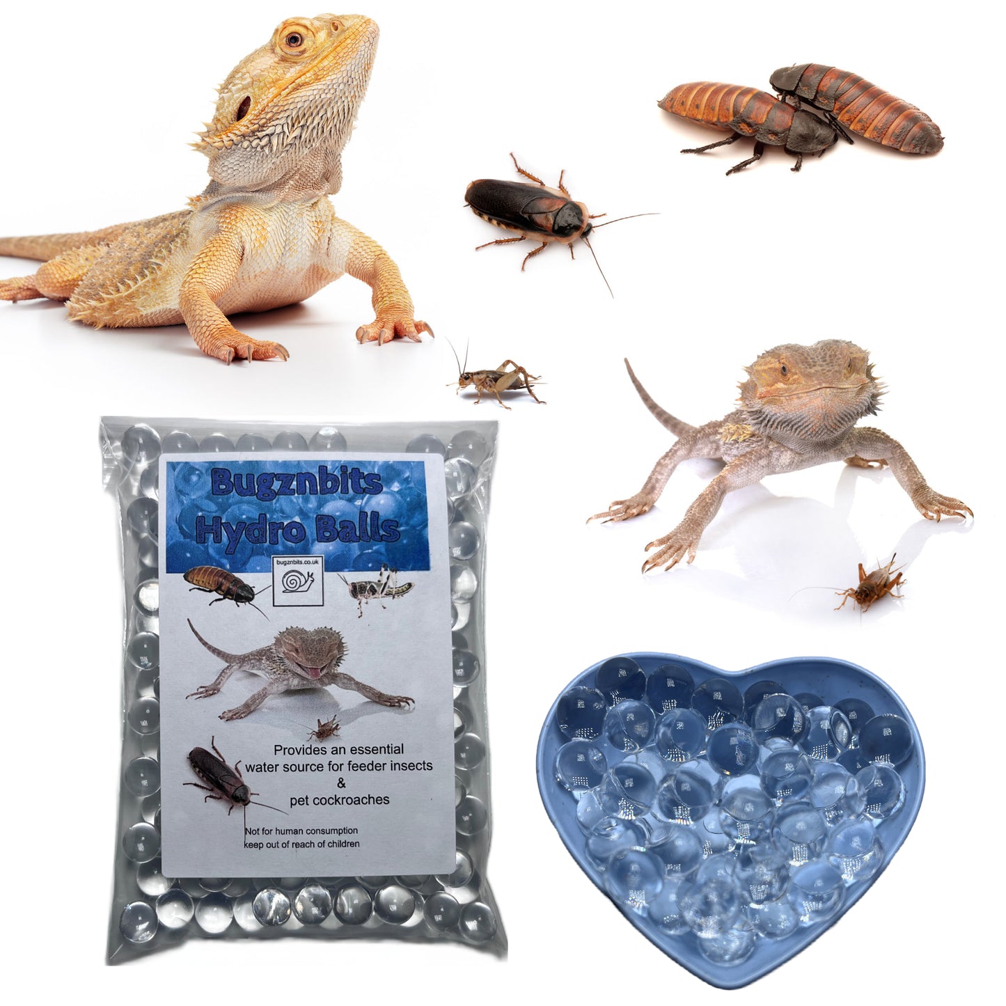 Hydro Balls For Feeder Insects & Roach Keeping