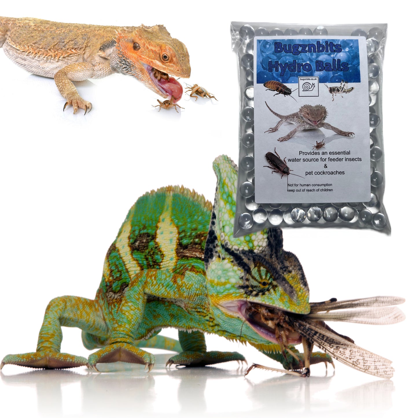 Hydro Balls For Feeder Insects & Roach Keeping