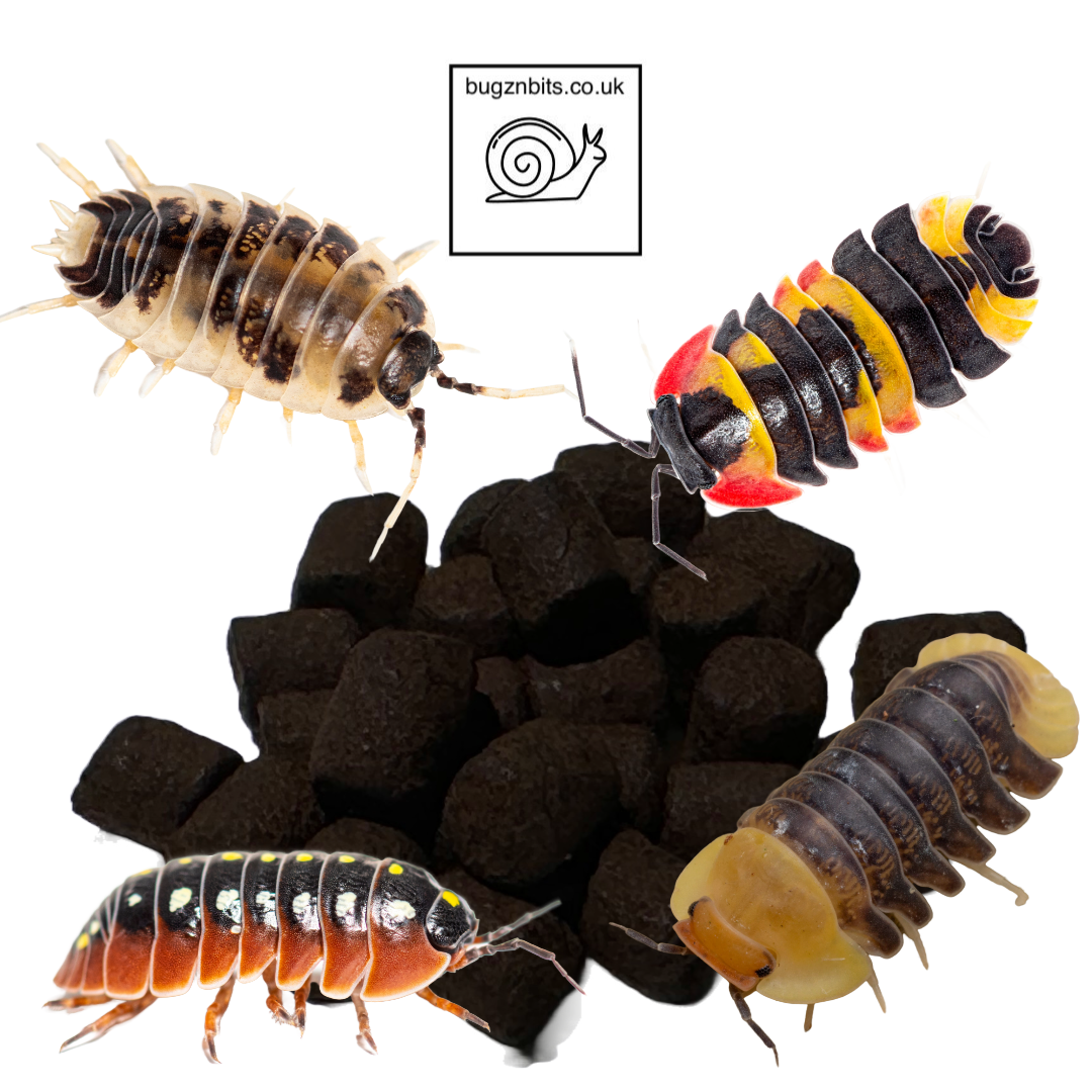 Isobarrel Protein Millipede and Woodlice Treat