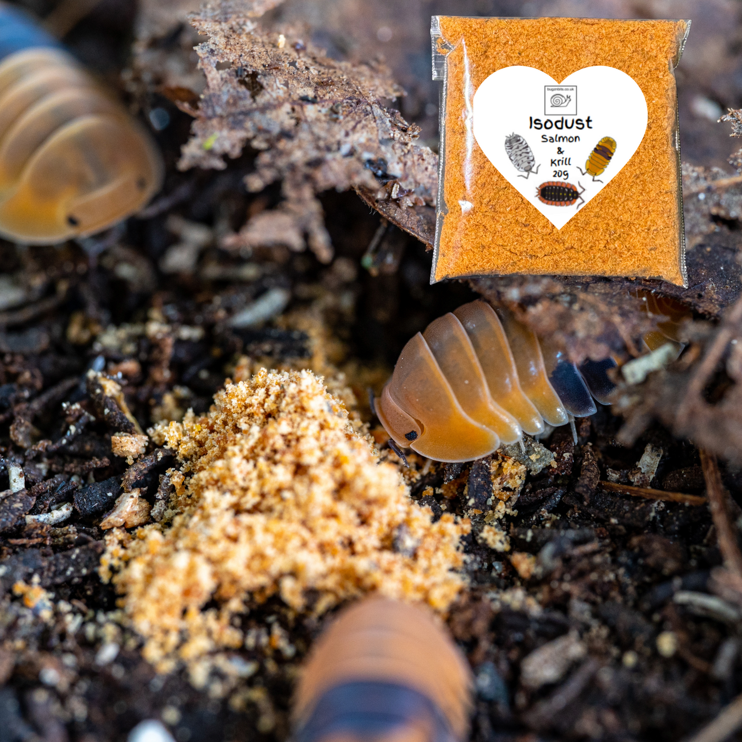 Isobarrel Protein Millipede and Woodlice Treat