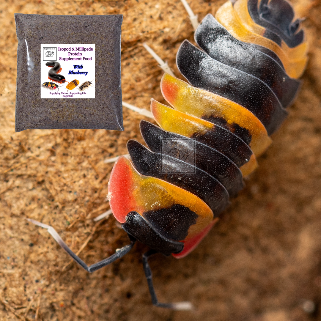 Isopod & Millipede Protein Supplement Food
