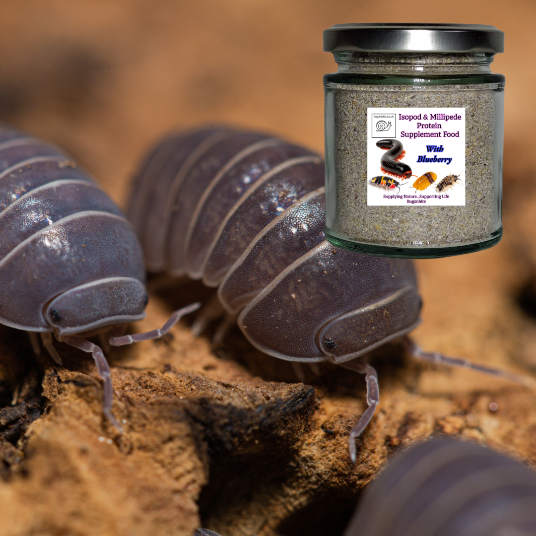 Isopod & Millipede Protein Supplement Food