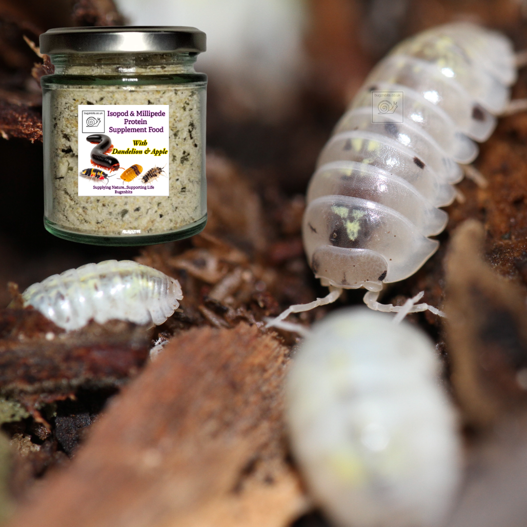 Isopod & Millipede Food TWIN JAR PACK 2 x 200ml