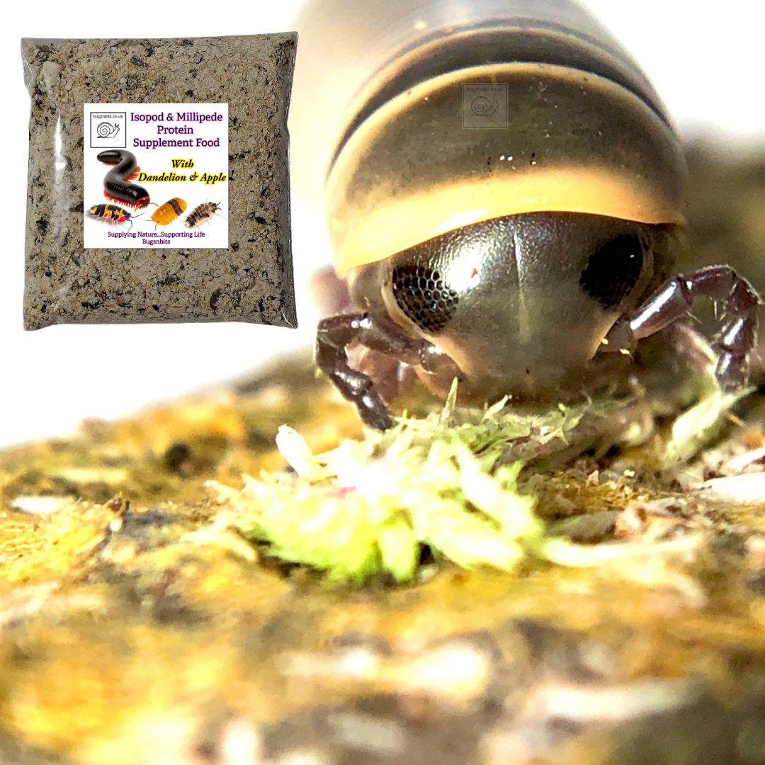 Isopod & Millipede Protein Supplement Food