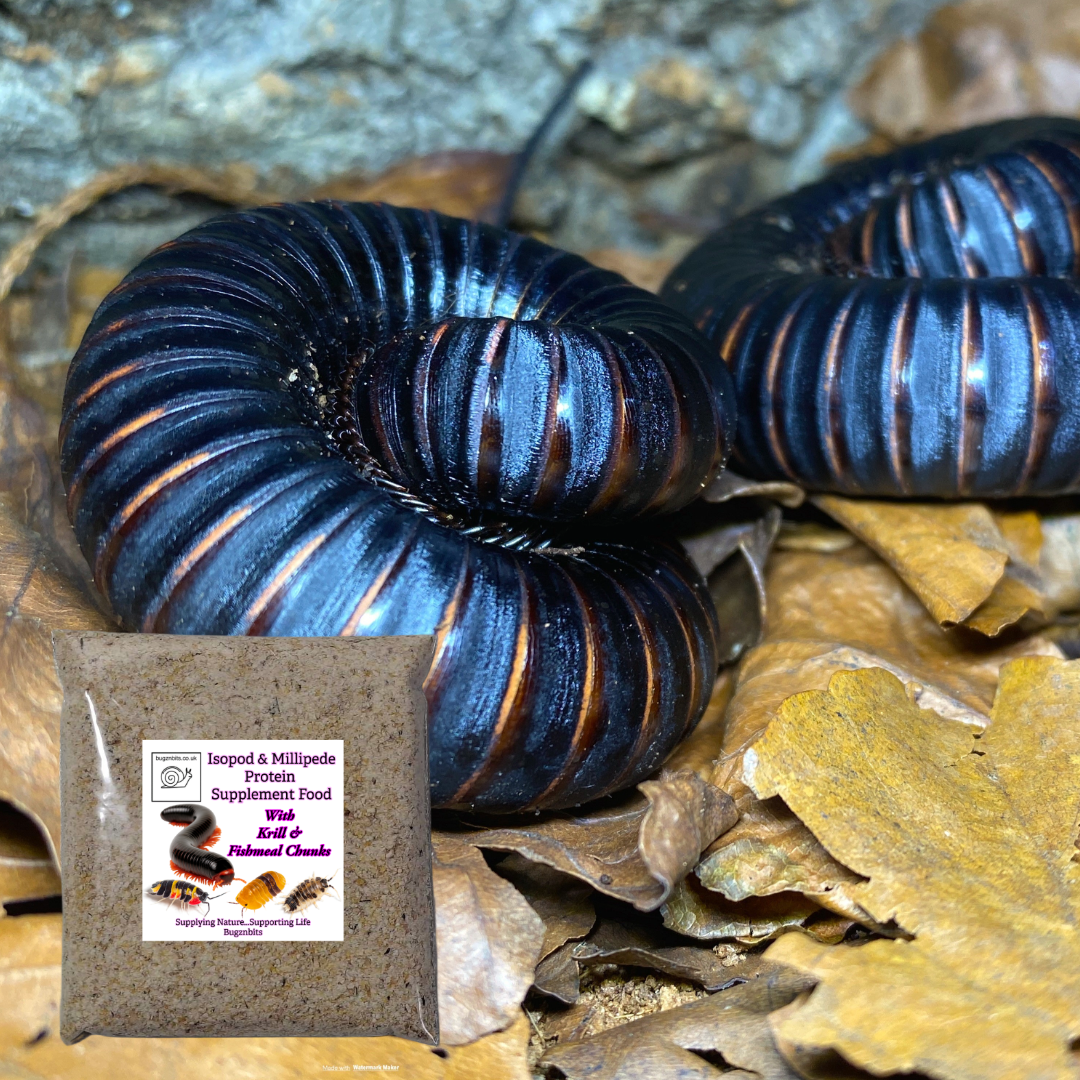 Isopod & Millipede Food TWIN PACK 2 x 30g