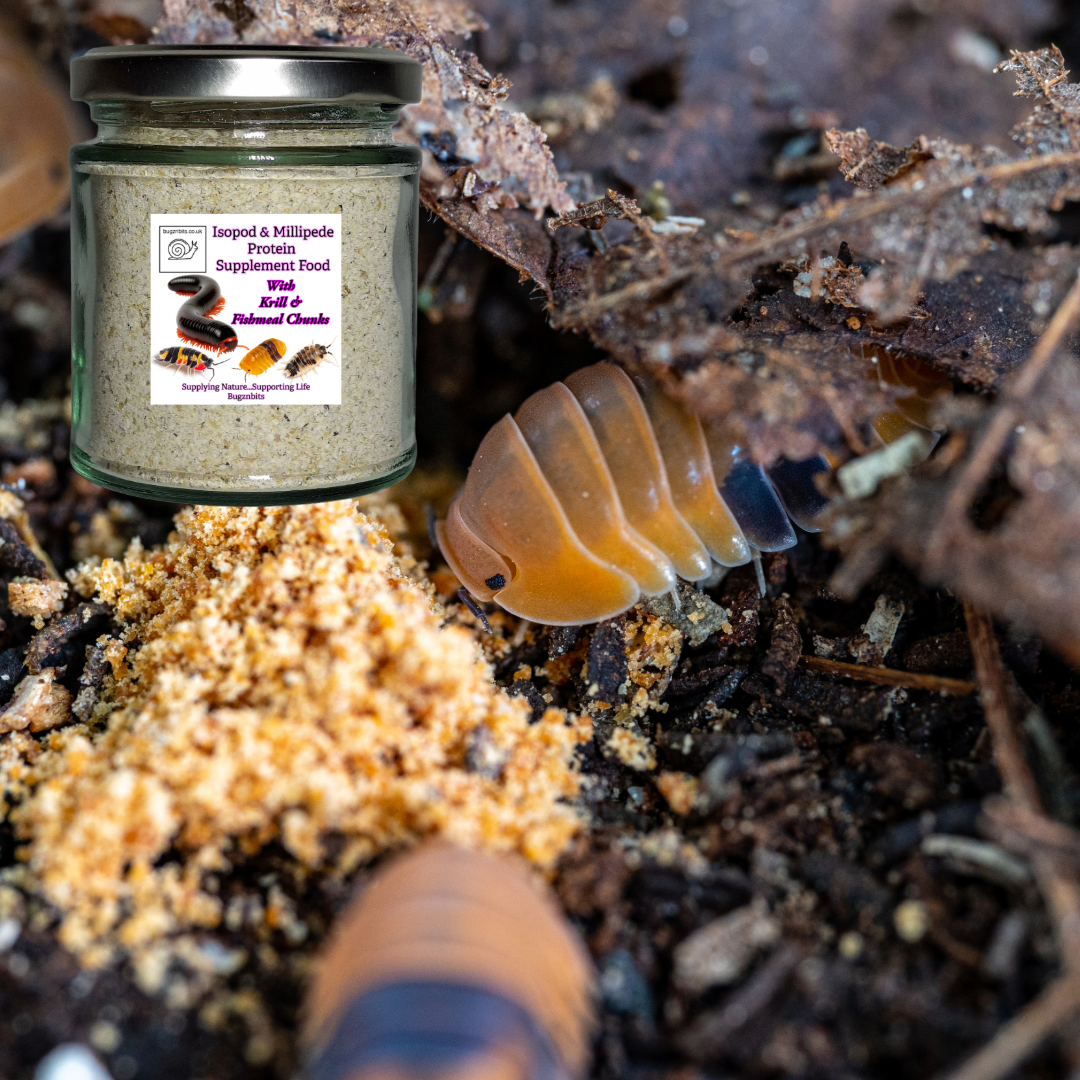 Isopod & Millipede Protein Supplement Food
