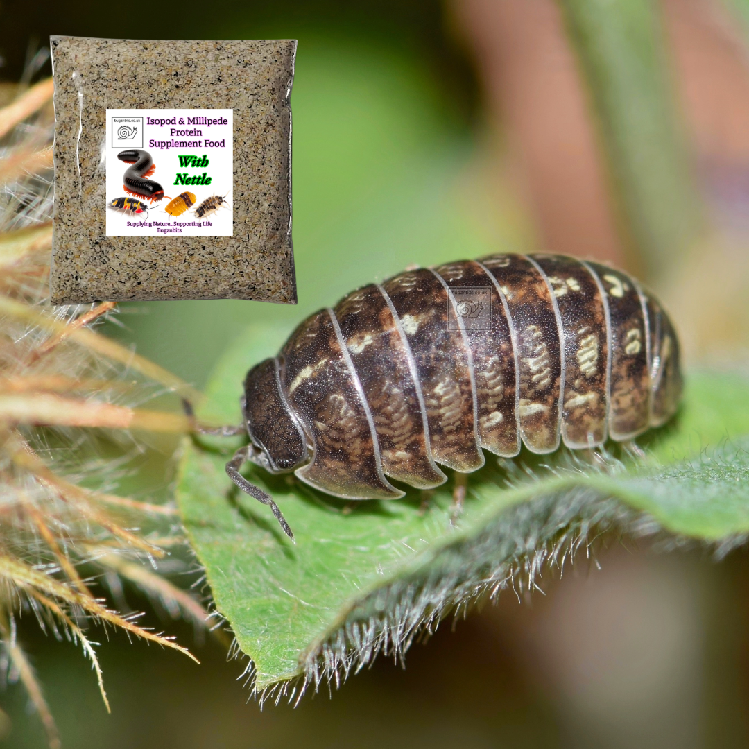 Isopod & Millipede Food TWIN PACK 2 x 30g