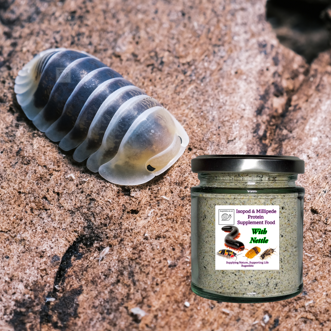 Isopod & Millipede Protein Supplement Food