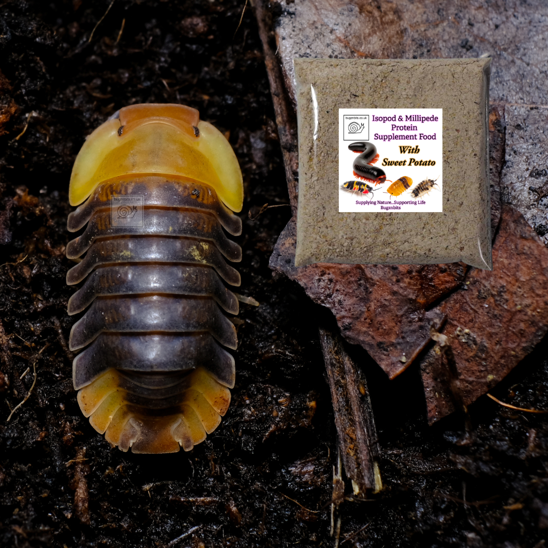 Isopod & Millipede Food TWIN PACK 2 x 30g