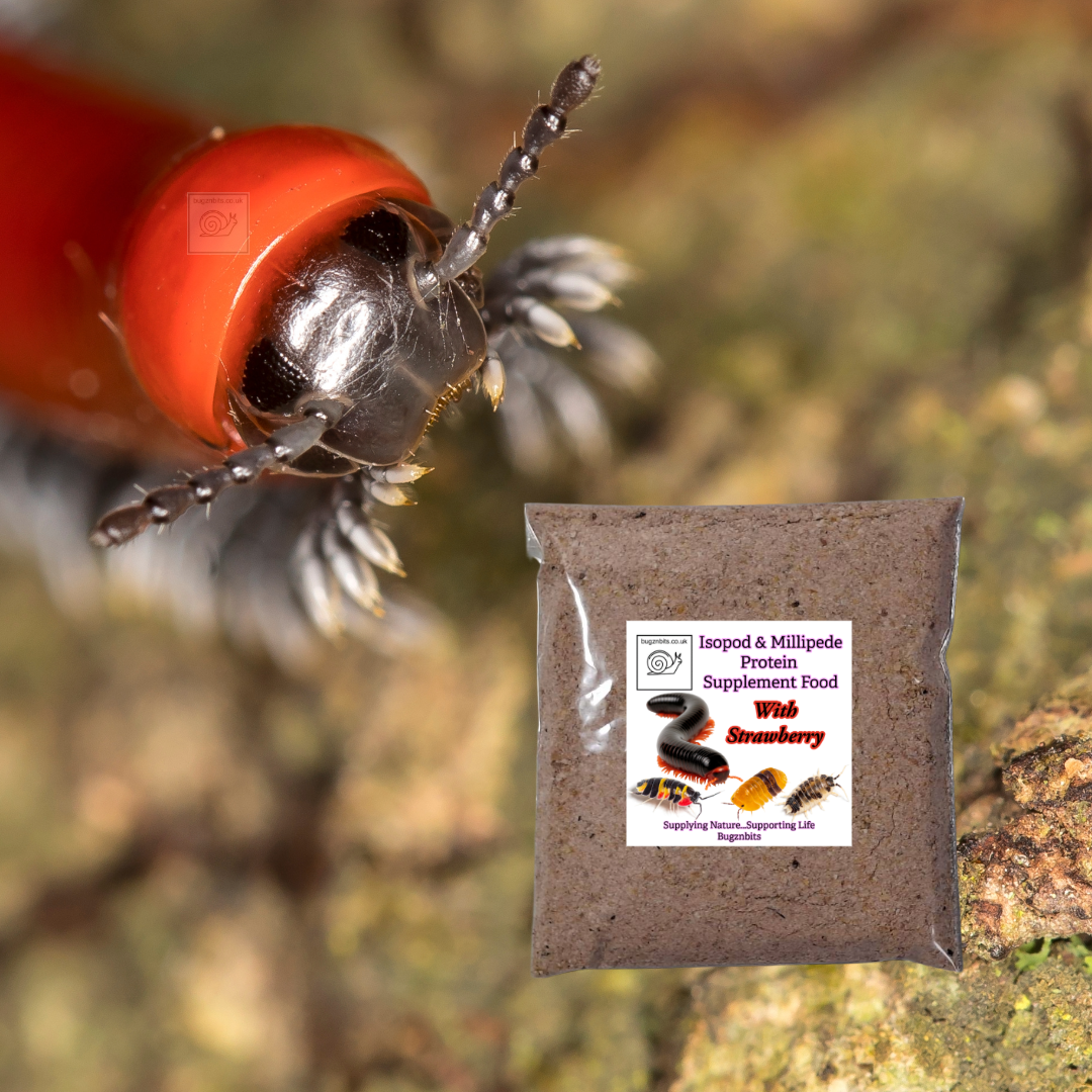 Isopod & Millipede Protein Supplement Food