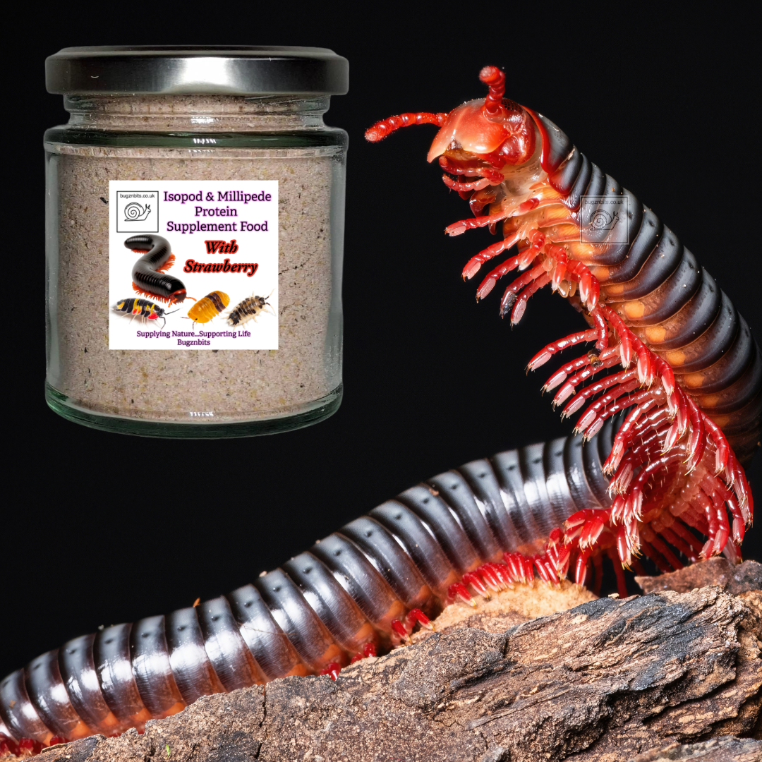 Isopod & Millipede Protein Supplement Food