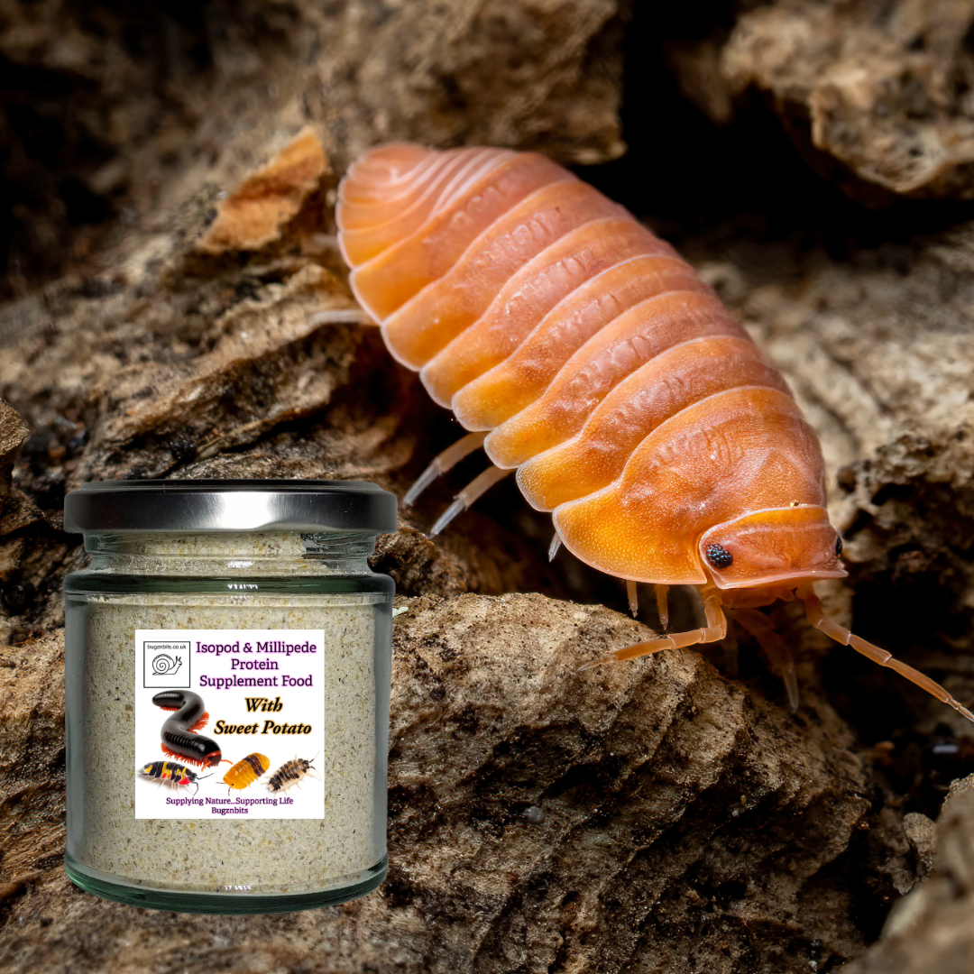 Isopod & Millipede Food TWIN JAR PACK 2 x 200ml