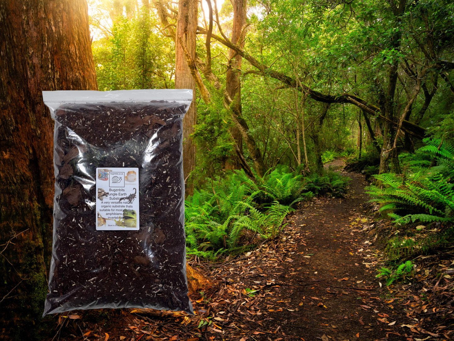 Bugznbits Jungle Earth Substrate, Our Most Versatile Substrate, Snails, Frogs, Reptiles and Supports Bio-active Set-ups